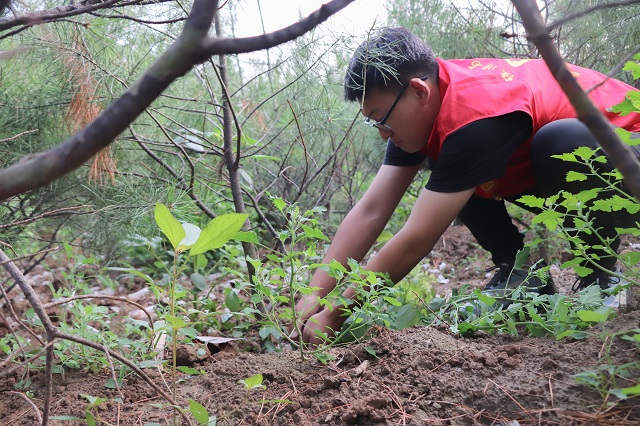 【三下乡】身体力行学党史 赓续共产党人的精神血脉——经济与管理学院“经”史思源党史学习实践团“三下乡”实践活动纪实四