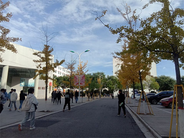 【完满班级】学雷锋 我行动——艺术传媒学院视觉2101班完满班级活动