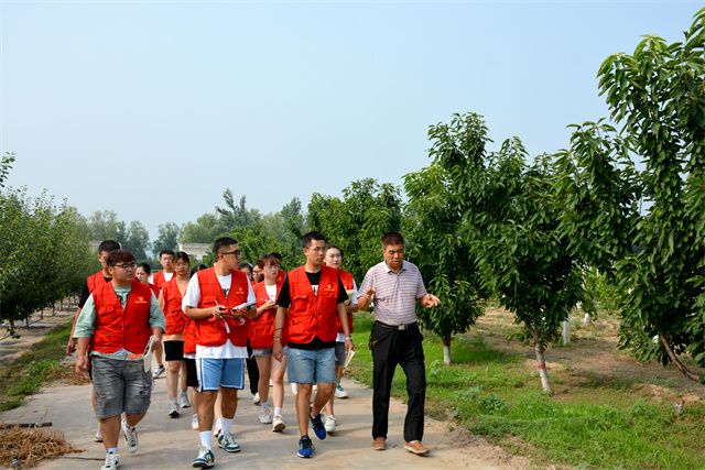 【三下乡】多产融合促发展 行稳致远奋前行——淬炼商学院青年益行国情观察实践团