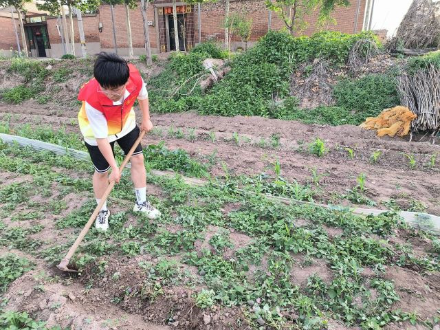 学长计划第1084期:挖呀挖呀挖!智能人开“挖”!——智能工程学院第149期学长计划“劳有所获 勤有所得”一日农家乐
