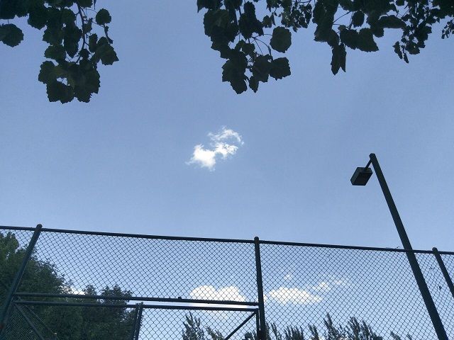 【完满班级】留住瞬间 影动生活——食品与环境学院资环1701班完满班级活动