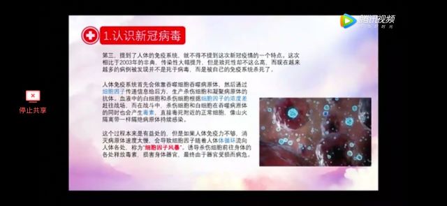 【主题团日】疫情见闻伴我身