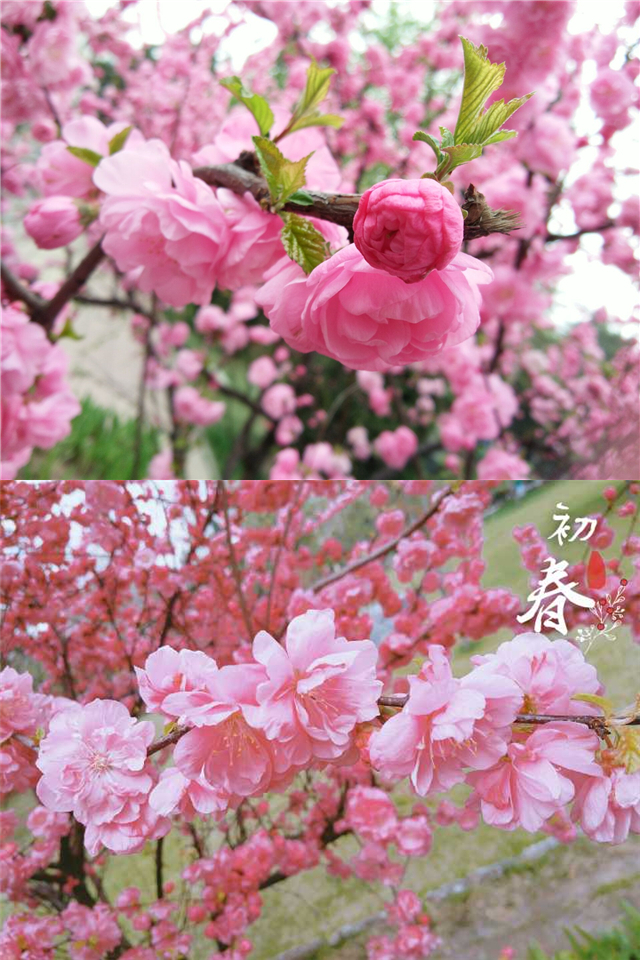 【完满班级】工管系“同拼搏 共奋进”主题活动(十)