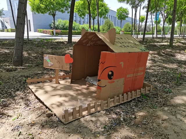 【青马工程】流浪小屋计划 让每一份爱心都得到归属