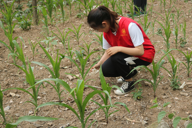 踏遍美丽山水 唤醒沉睡的钟灵毓秀——经济与管理学院“流转经年”美丽中国实践团“三下乡”社会纪实