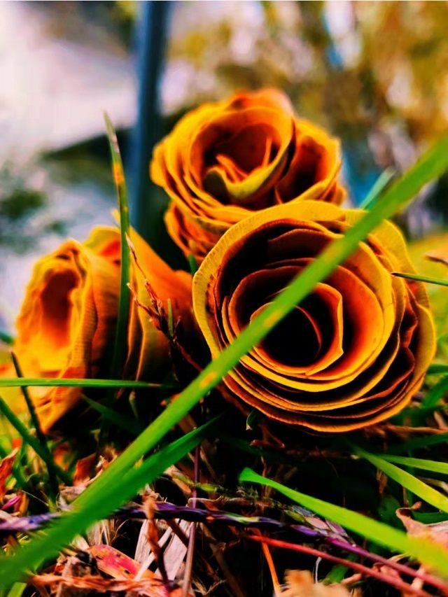 【1+1>2】新闻路上勇前行 传媒途中共筑梦——第九届“家事·班事·信院事”校园记者节系列活动