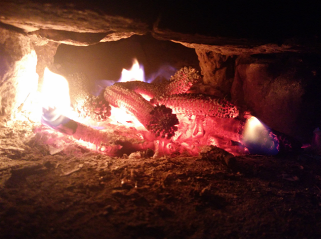 【前行】第134期：敬故乡一杯美酒  品别样乡愁