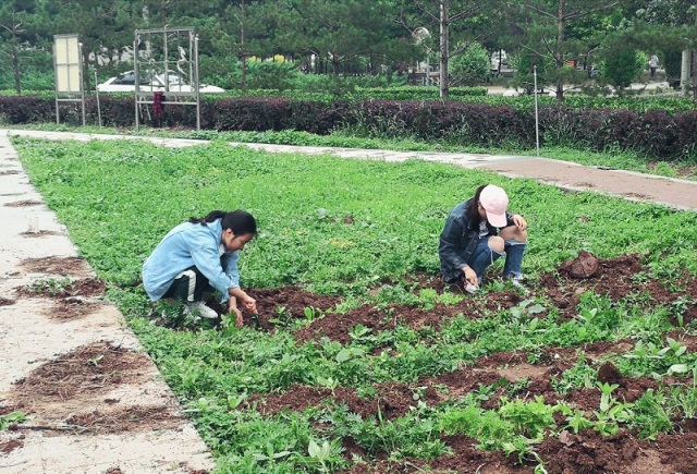 【缤纷百团】QQ农场叮咚上线 雨后体味百花之乡 ——开心农场协会“植株移栽和间苗”活动