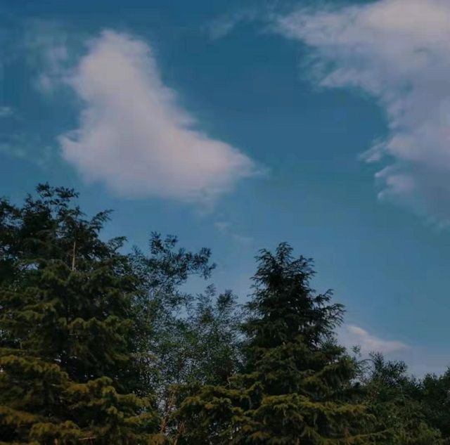 【1+1>2】新闻路上勇前行 传媒途中共筑梦——第九届“家事·班事·信院事”校园记者节系列活动