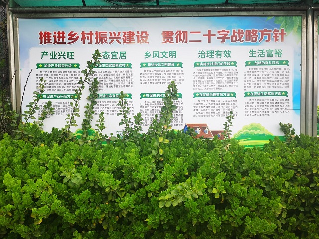 【青春支农】行走的力量第189期:春暖花开再聚敦坊 用心描绘乡村振兴美景