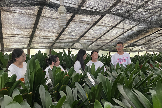 【三下乡】传承红色文化 延续农耕火种——大数据学院、信息工程学院乡村振兴实践团