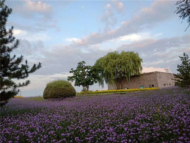 淬炼商学院举办第五届摄影大赛:用镜头记录时光与记忆