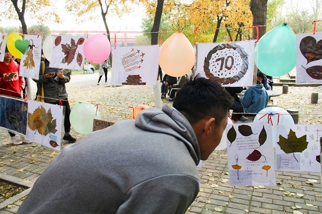 一叶诉心思 树叶原创情书大赛