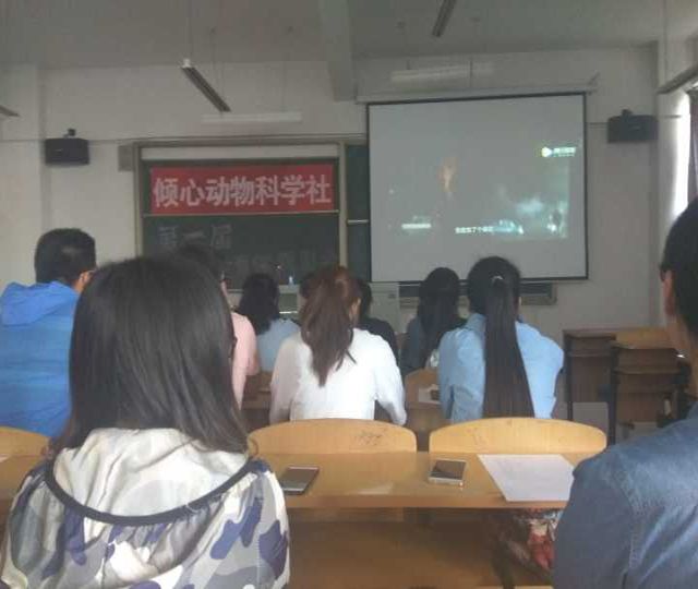 【缤纷百团】生命轮回中的意义——倾心动物科学社第一届“倾心有你观影会”活动
