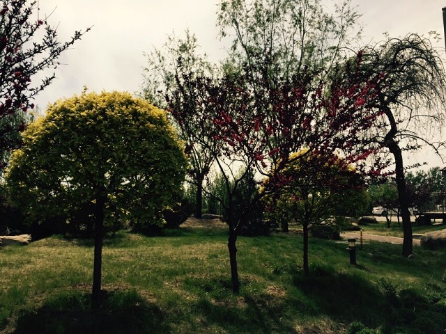 【完满班级】不枉青春 展现激情 ——淬炼商学院举办四月完满班级主题活动（二十六）