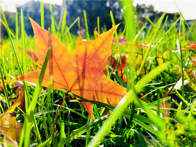 前行第175期:信院美好与你环环相扣