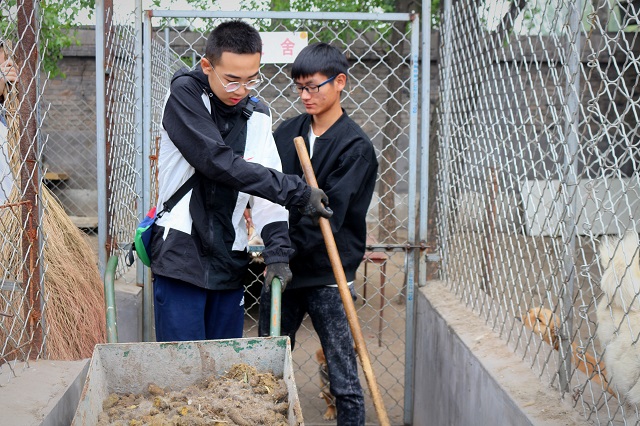 【完满班级】佛语有云 众生平等——食品与环境学院动医1703班举办完满班级活动