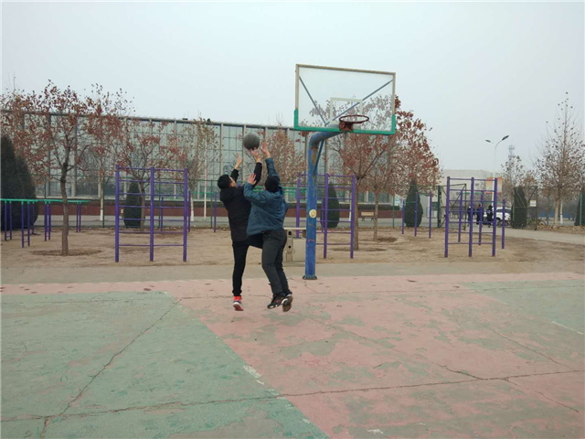 【完满班级】淬炼商学院12月完满班级主题活动回顾(二十四)