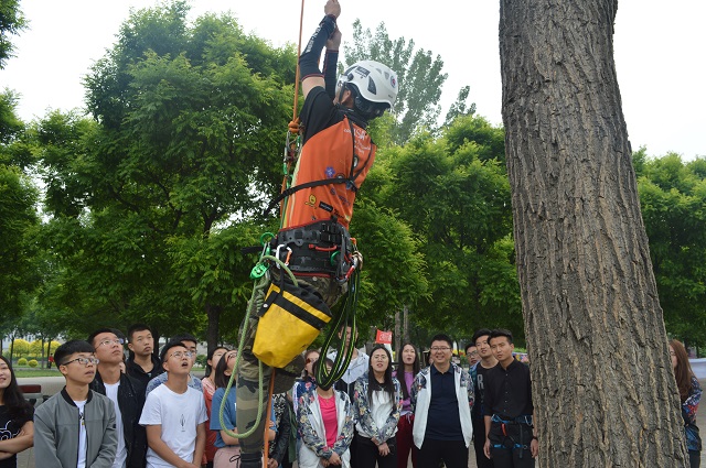 【1+1＞2】素拓与太行 怀梦向天欲与天高——户外领导力之攀树运动