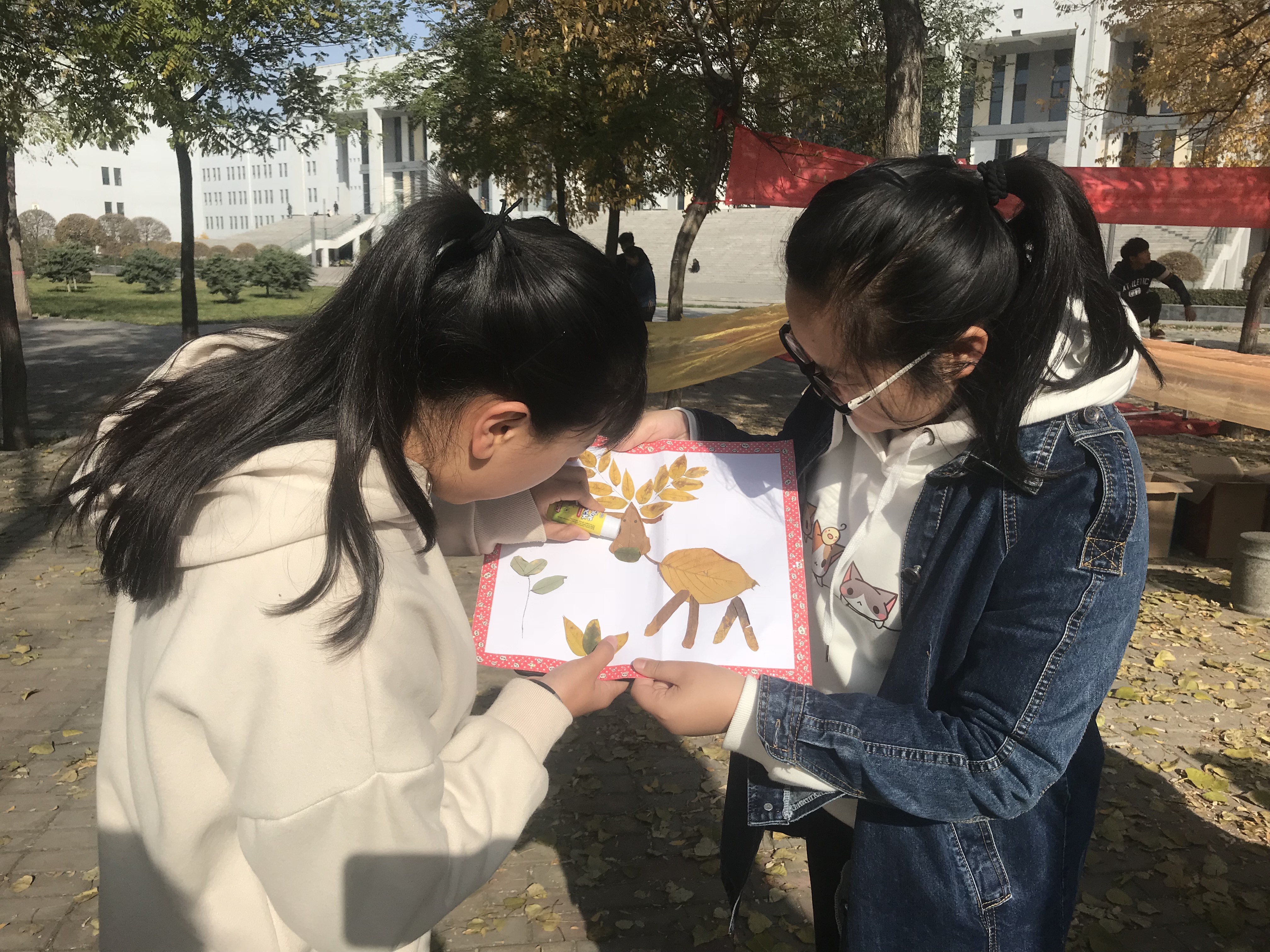 【完满班级】金黄遍野 落叶之美——淬炼商学院举行“善”行青春主题活动（六）