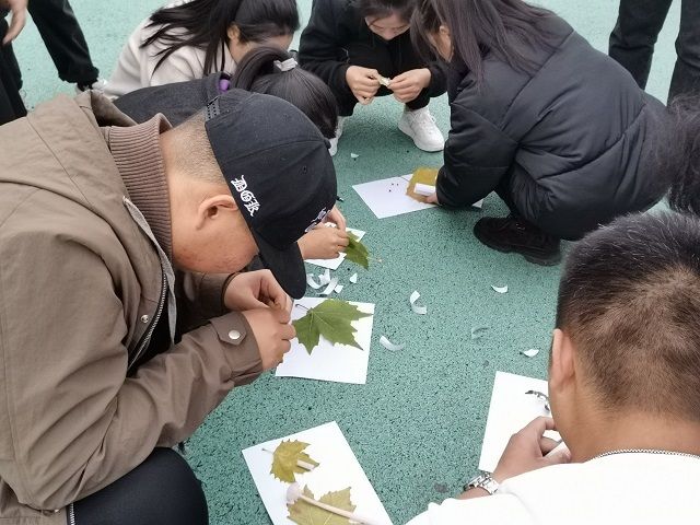 【完满班级】落叶飞舞 创意无限——食品与环境学院园林1901班完满班级活动