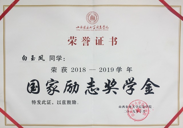 学习标杆·白玉凤：青春由磨砺而出彩 人生因奋斗而升华