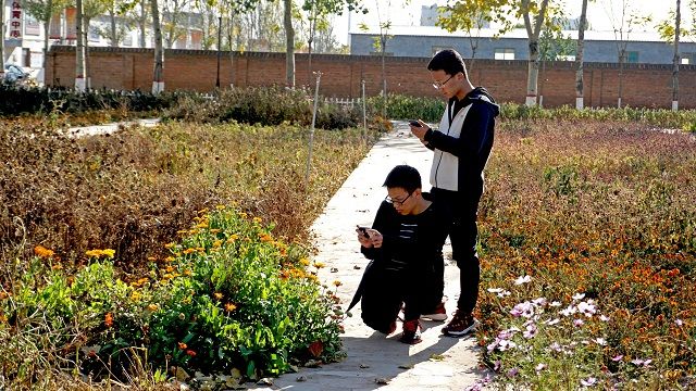 【社团快讯】抓住秋风无觅处 留意芳歇之姿态——食品与环境学院第二届“祖国风光 信院瞬间”网络直播创意摄影大赛
