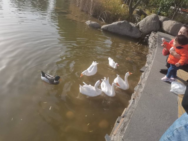 【完满班级】寻找春天的脚步 摄出最美春色