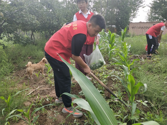 【三下乡】寻百年老庄 回味峥嵘岁月——智能工程学院“机时予”志愿者象谷服务纪实