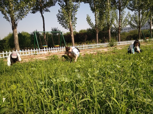 【完满班级】汇聚菁英 展望精英——食品与环境学院园林1603班完满班级活动