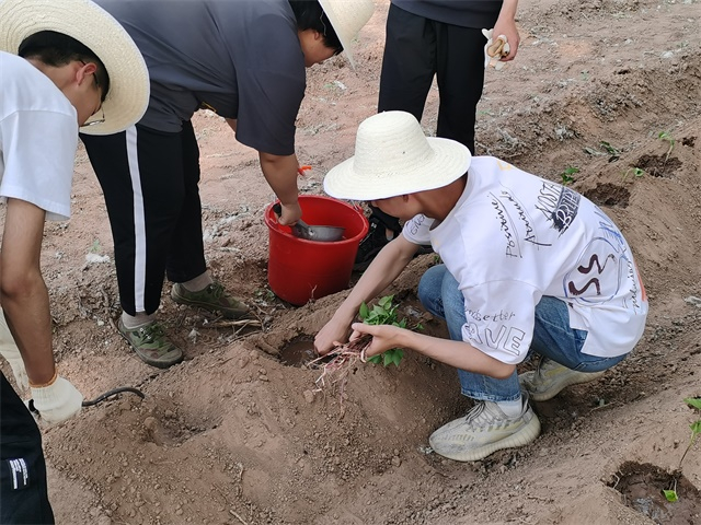 【信院农场】农耕项目第2期:初夏时节 耕植方圃 不亦乐乎