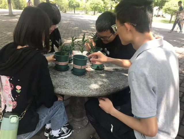 绿植领养 温暖人心——大数据学院、信息工程学院庞庄水库专项志愿服务队