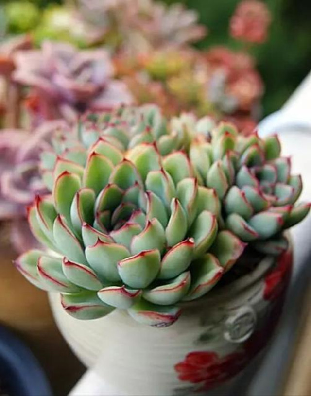 【信院力量·社联】重拾社团里的细碎时光