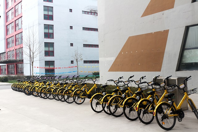 【完满班级】善行青春 养成公益——园林1604班举办完满班级公益活动