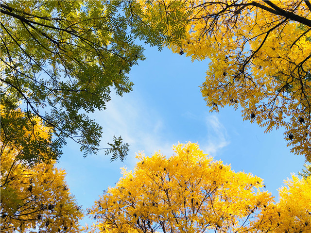 前行第175期:信院美好与你环环相扣