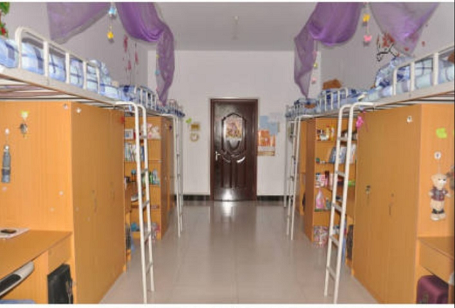 【完满班级】友谊的力量——食品与环境学院食品1501班完满班级活动