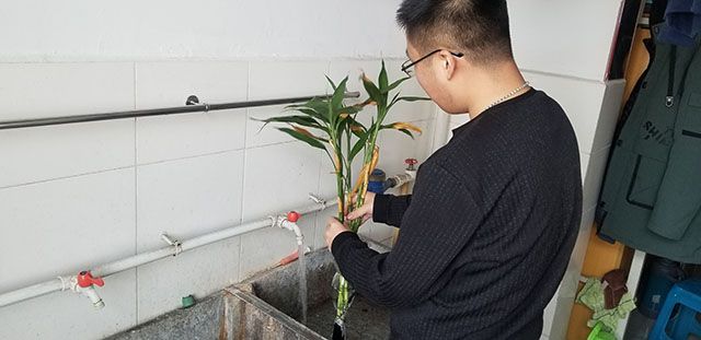 【完满班级】构建生态文明 培养绿色意识——视觉1801班“暗香疏影 锦团花簇”线上宣传教育主题班会