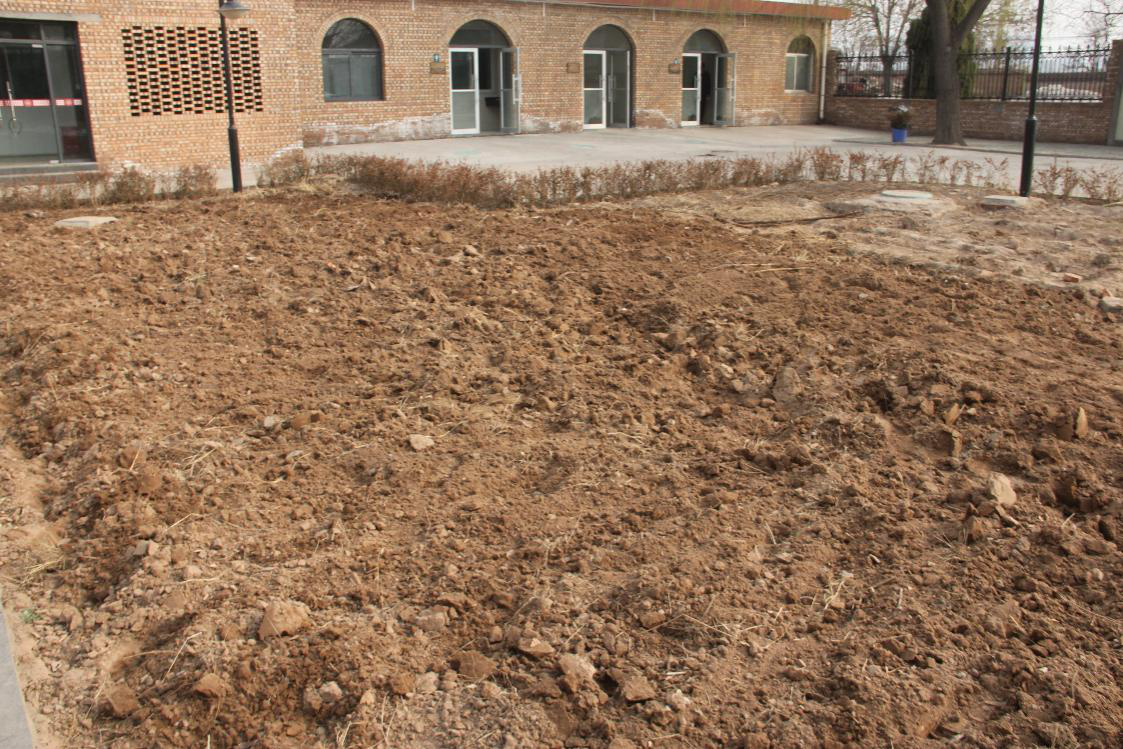 【完满班级】用实际行动践行家文化