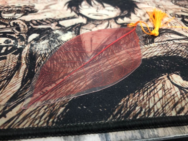 【公益实验室】第二期:叶子书签来了 请查收