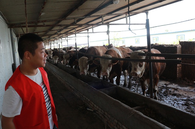 【三下乡】美食十二配郎酒  “农谷”养殖会“北斗”——2017环科系暑期“北斗星”公益实践团南阳村之行（六）