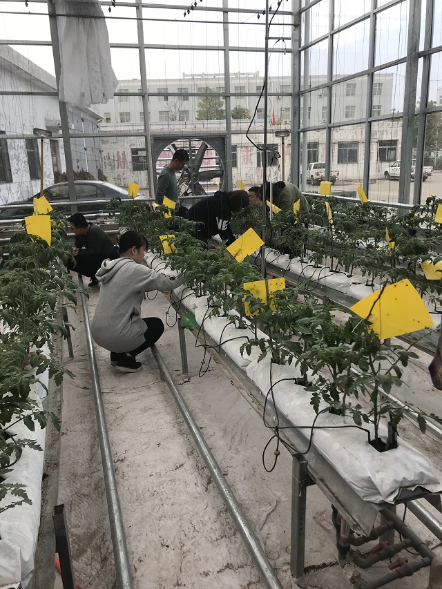 【社团快讯】新生社员农场初体验