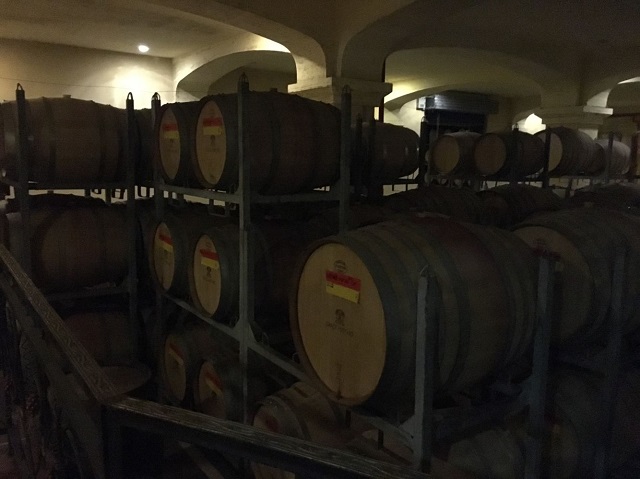 【完满班级】完满园艺人 寻专业魅力——食品与环境学院园艺1601班怡园葡萄酒庄园参观活动