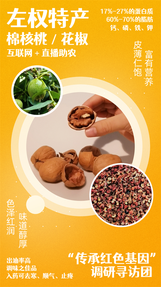 【三下乡】体验“助农主播”的一天 为农产品销售打开新出路——“传承红色基因”调研寻访团
