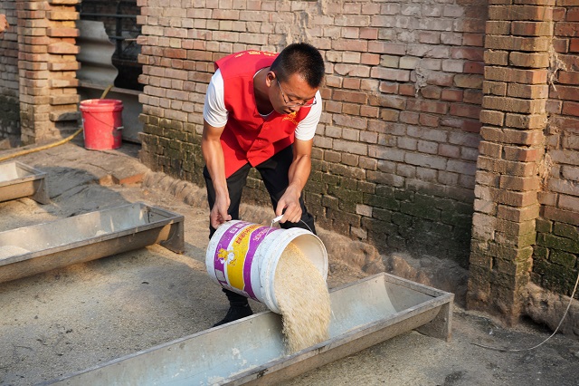 【三下乡】振兴乡村绿化养殖建设发展