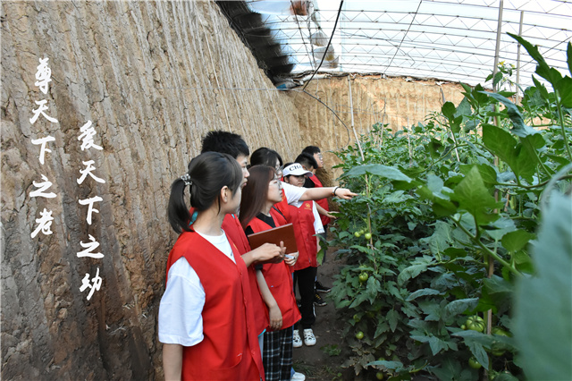 青年学子实践在基层 绽芳华做有为青年——2021年暑期“三下乡”社会实践总结评选活动圆满落幕