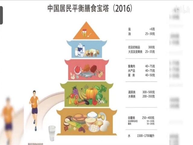 合理膳食 健康生活——食品与环境学院“量腹而食，克己慎行”合理膳食常识科普