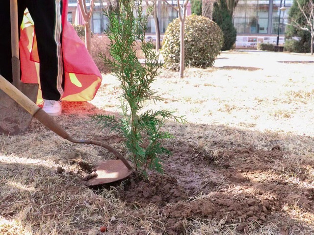 植树增绿 党旗增辉——远景学院植树节主题活动