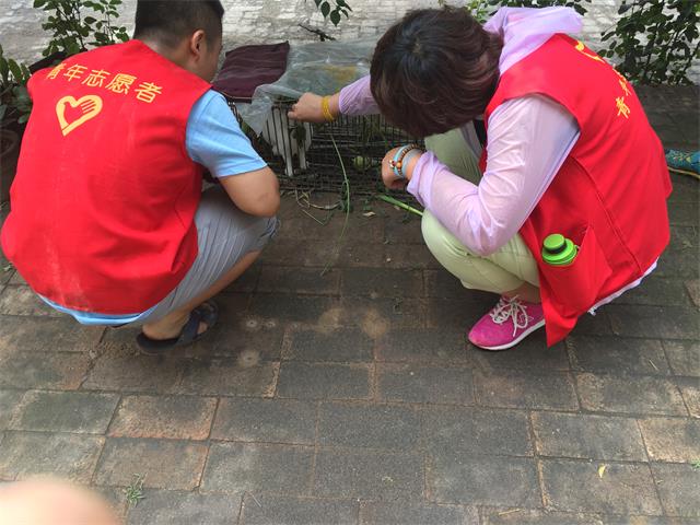 【三下乡】品味乡间不一样的风土人情