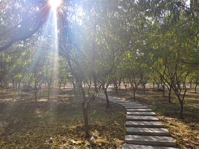 【完满班级】记录信院美好 铭刻青春回忆——艺术传媒学院服装1701班摄影作品征集活动