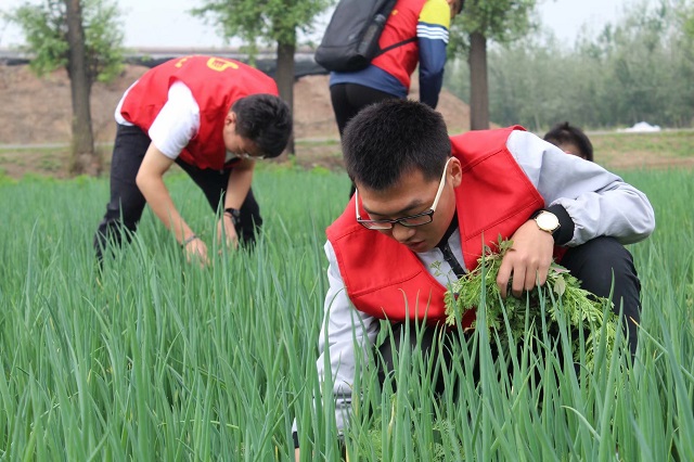志愿之星•邵喆：公益之路 初心未泯